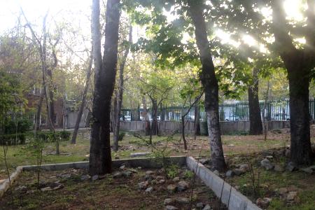 سالن کنفرانسی دارای فضای سبز