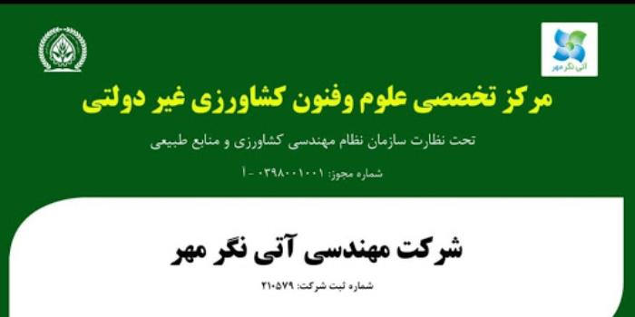 قارچ