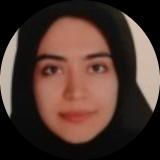 مینا فاطمی