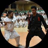 مسعود هاشم زاده