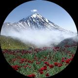 طیبه مجتهدی