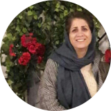 حسین حسنی