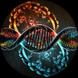 وحیدرضا اصفهانی