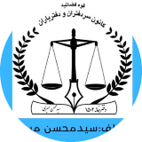 سیدمحسن میری