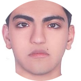آراد مزیدی 