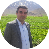 حمزه روایی
