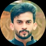 مهدی  رئیسی 