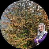 مطهره طالبی