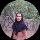 مطهره طالبی